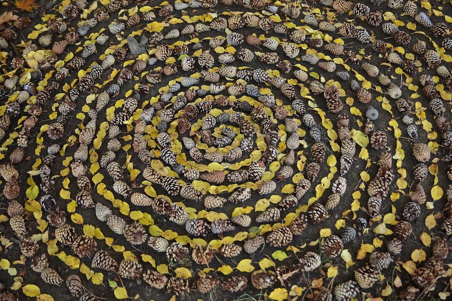 James Brunt mandalas naturaleza 16