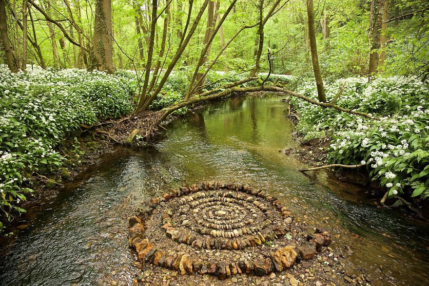 James Brunt mandalas naturaleza 18