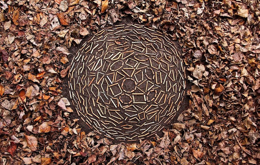 James Brunt mandalas naturaleza 19
