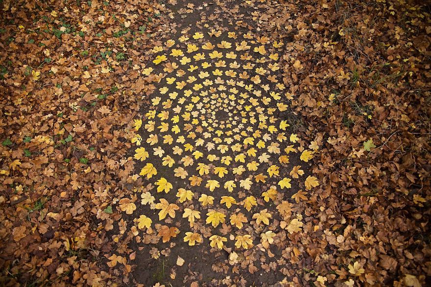 James Brunt mandalas naturaleza 2