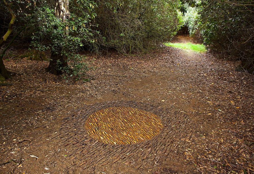 James Brunt mandalas naturaleza 20