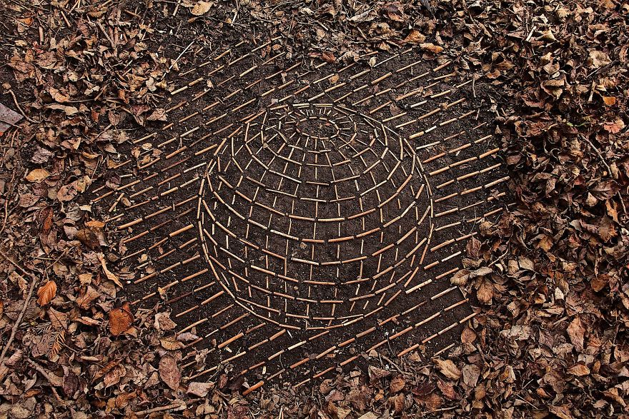 James Brunt mandalas naturaleza 21