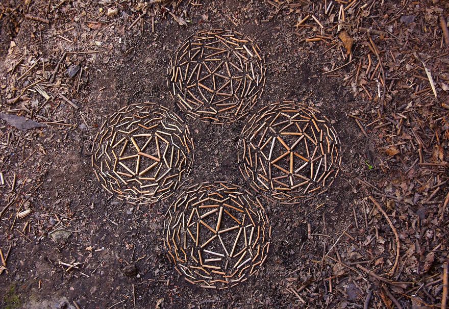 James Brunt mandalas naturaleza 24
