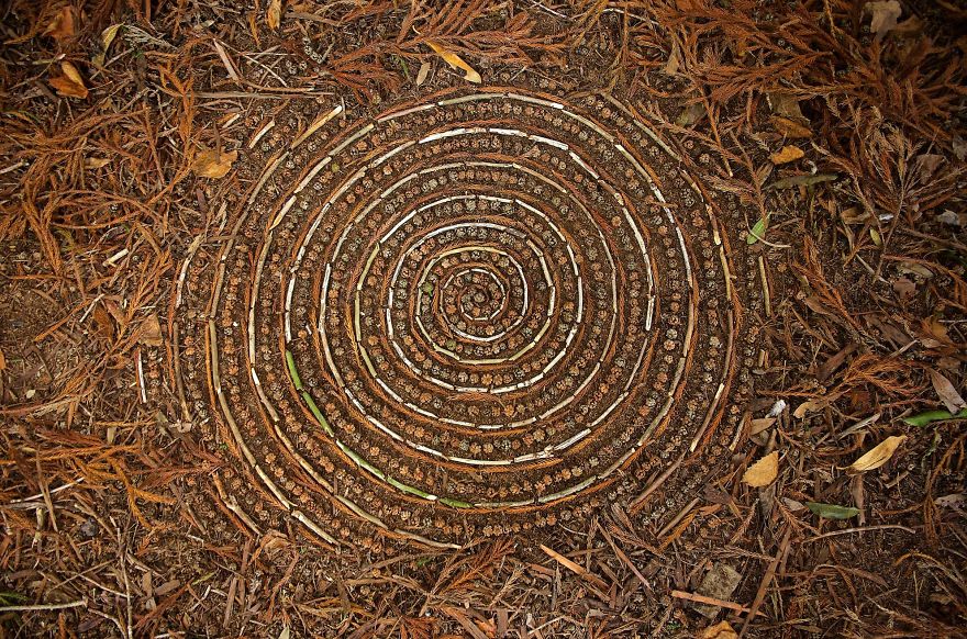 James Brunt mandalas naturaleza 26