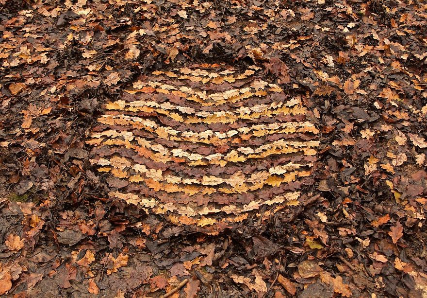 James Brunt mandalas naturaleza 31