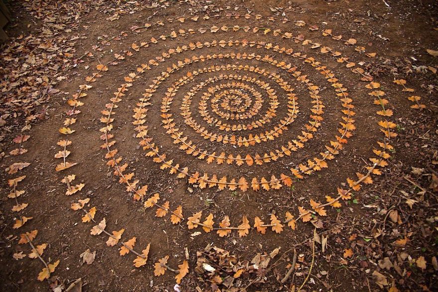 James Brunt mandalas naturaleza 32