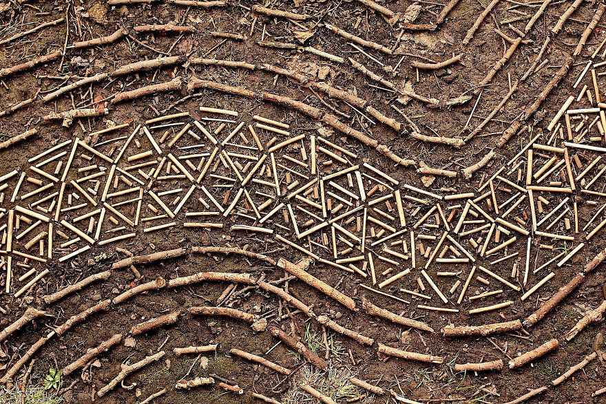 James Brunt mandalas naturaleza 35
