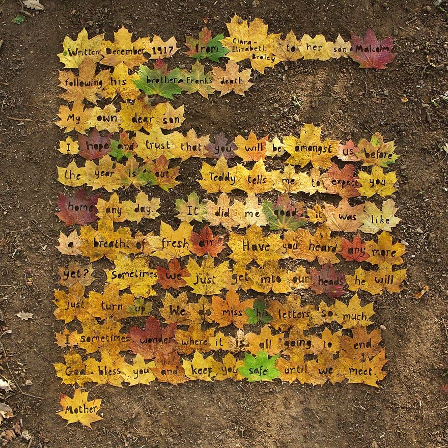 James Brunt mandalas naturaleza 36