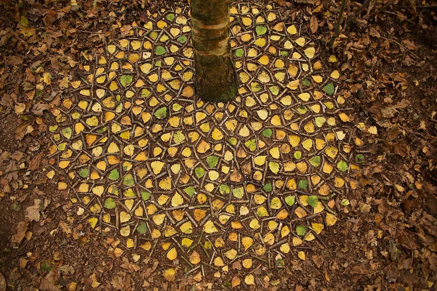 James Brunt mandalas naturaleza 6