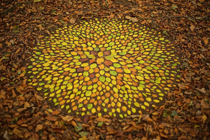 James Brunt mandalas naturaleza 8