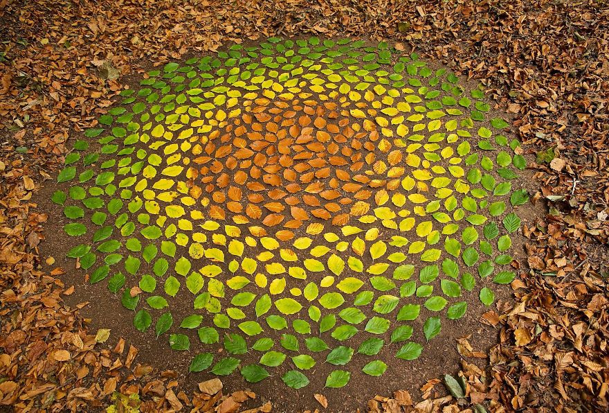 James Brunt mandalas naturaleza 9