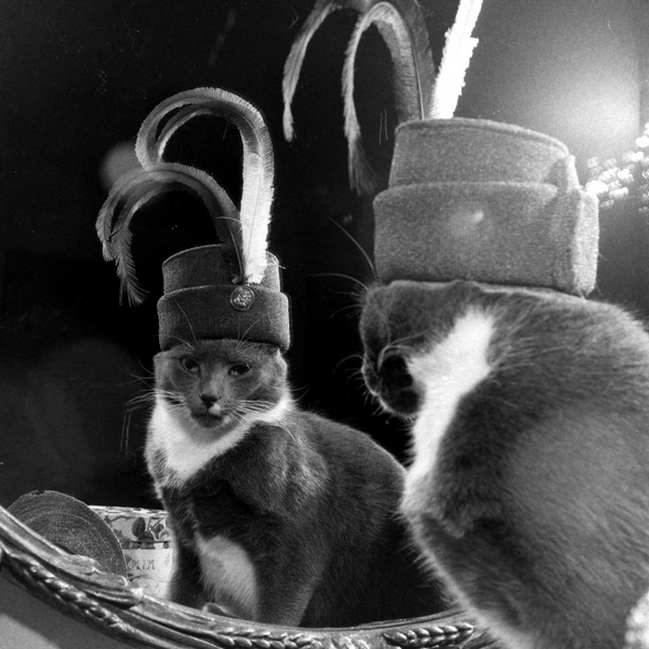 James Whitmore culturainquieta