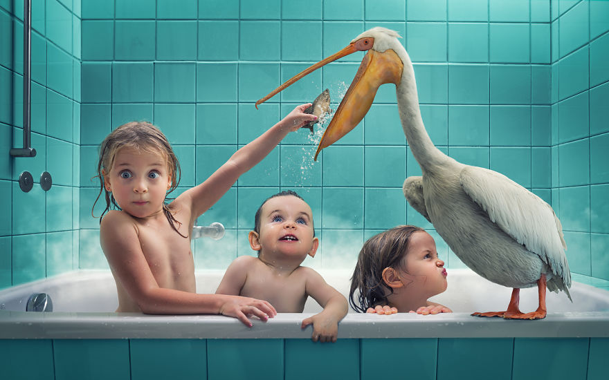 John Wilhelm. Cultura Inquieta 12