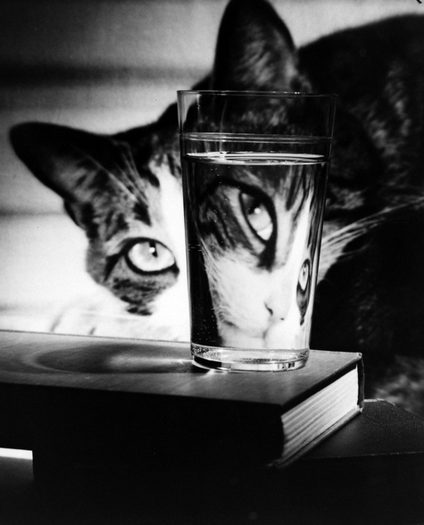 Nina Leen culturainquieta