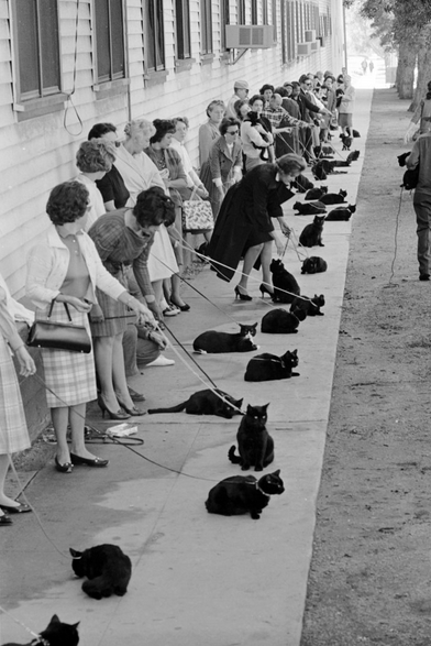 Ralph Crane culturainquieta2
