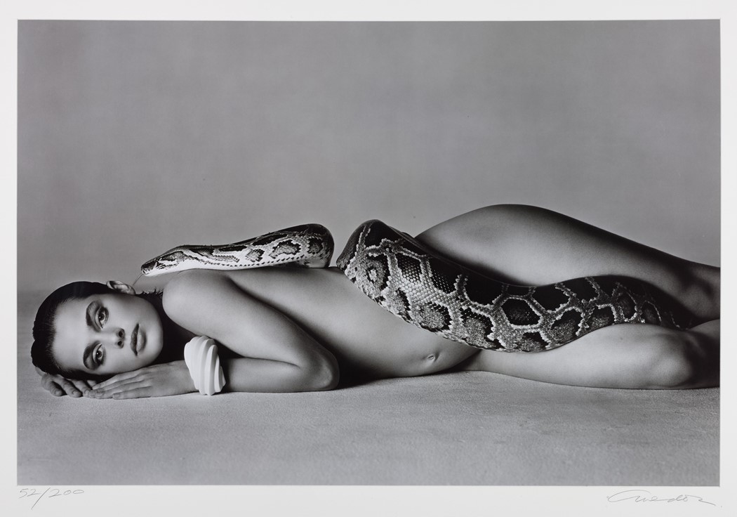 Nastassja Kinski fotografiada por Richard Avedon con una Boa constrictor.