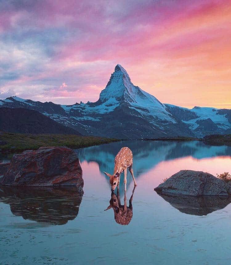 Robert Jahns. Cultura Inquieta4