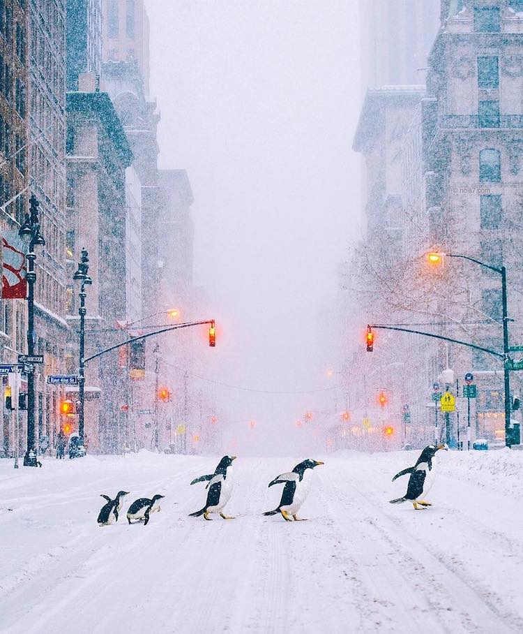 Robert Jahns. Cultura Inquieta7