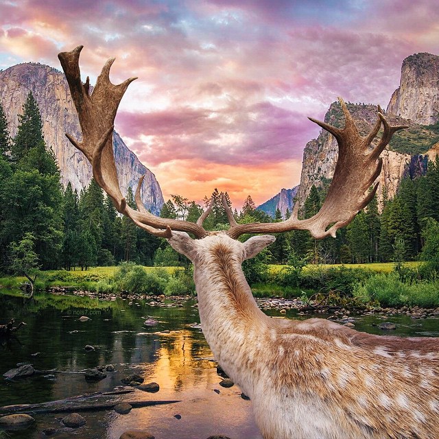 Robert Jahns. Cultura Inquieta9