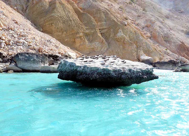 Socotra.Cultura Inquieta12