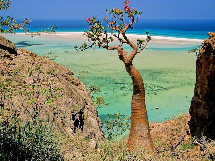 Socotra.Cultura Inquieta3