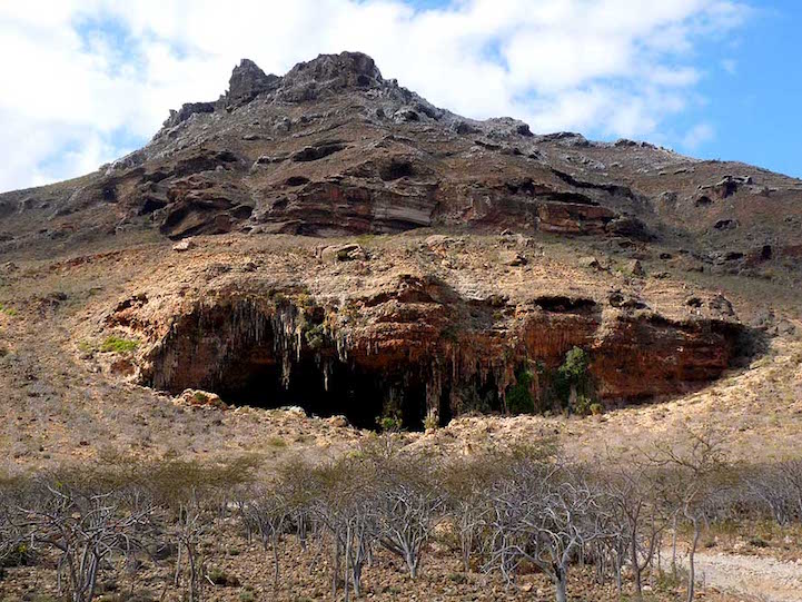 Socotra.Cultura Inquieta8