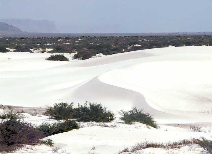 Socotra.Cultura Inquieta9