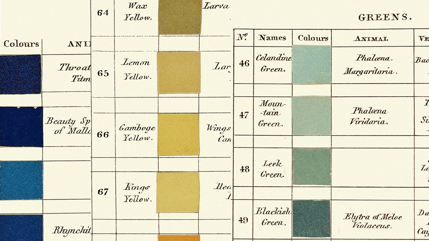 Werner nomenclatura de color 6