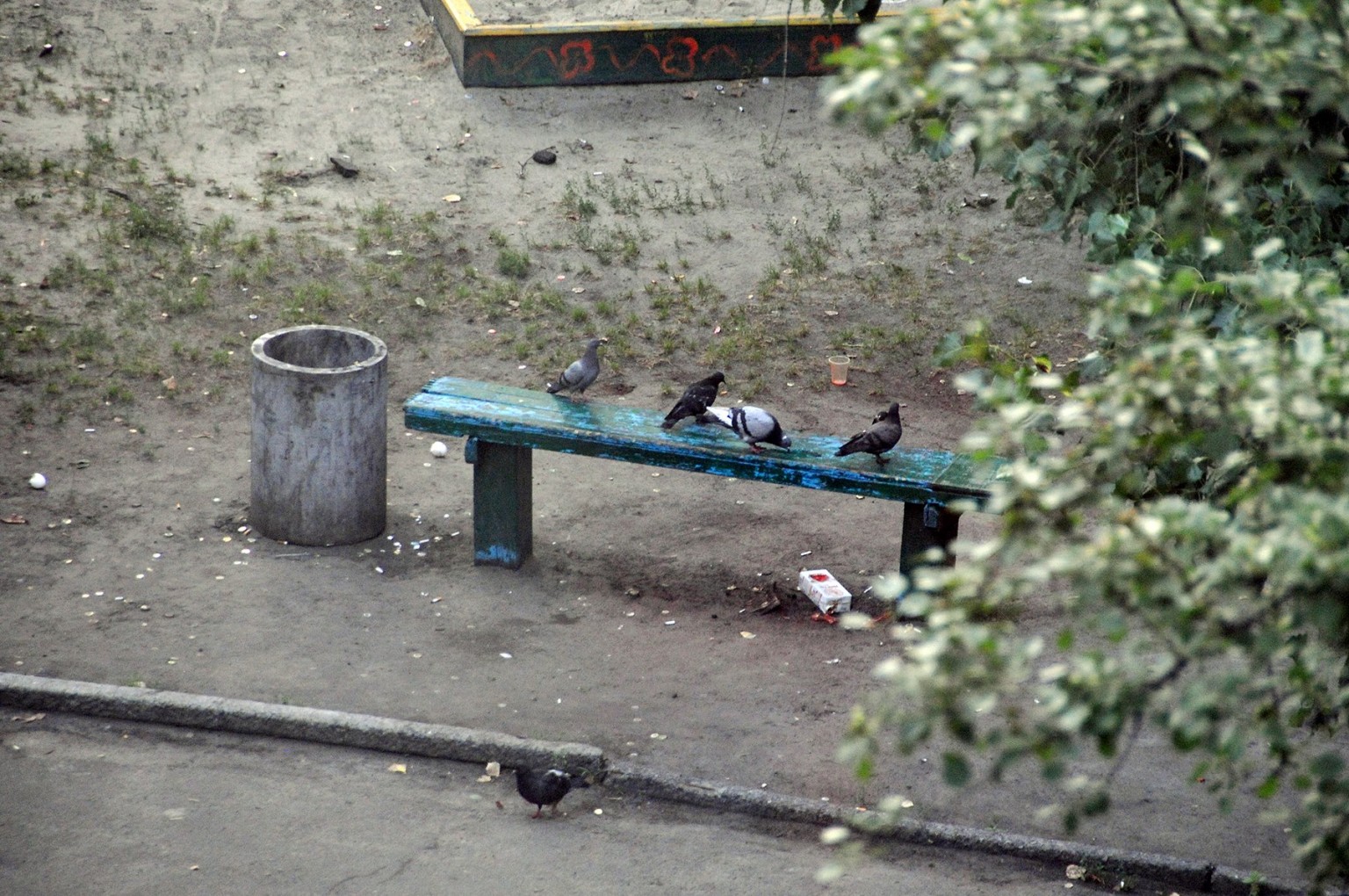 Yevgeniy Kotenko banco parque 5