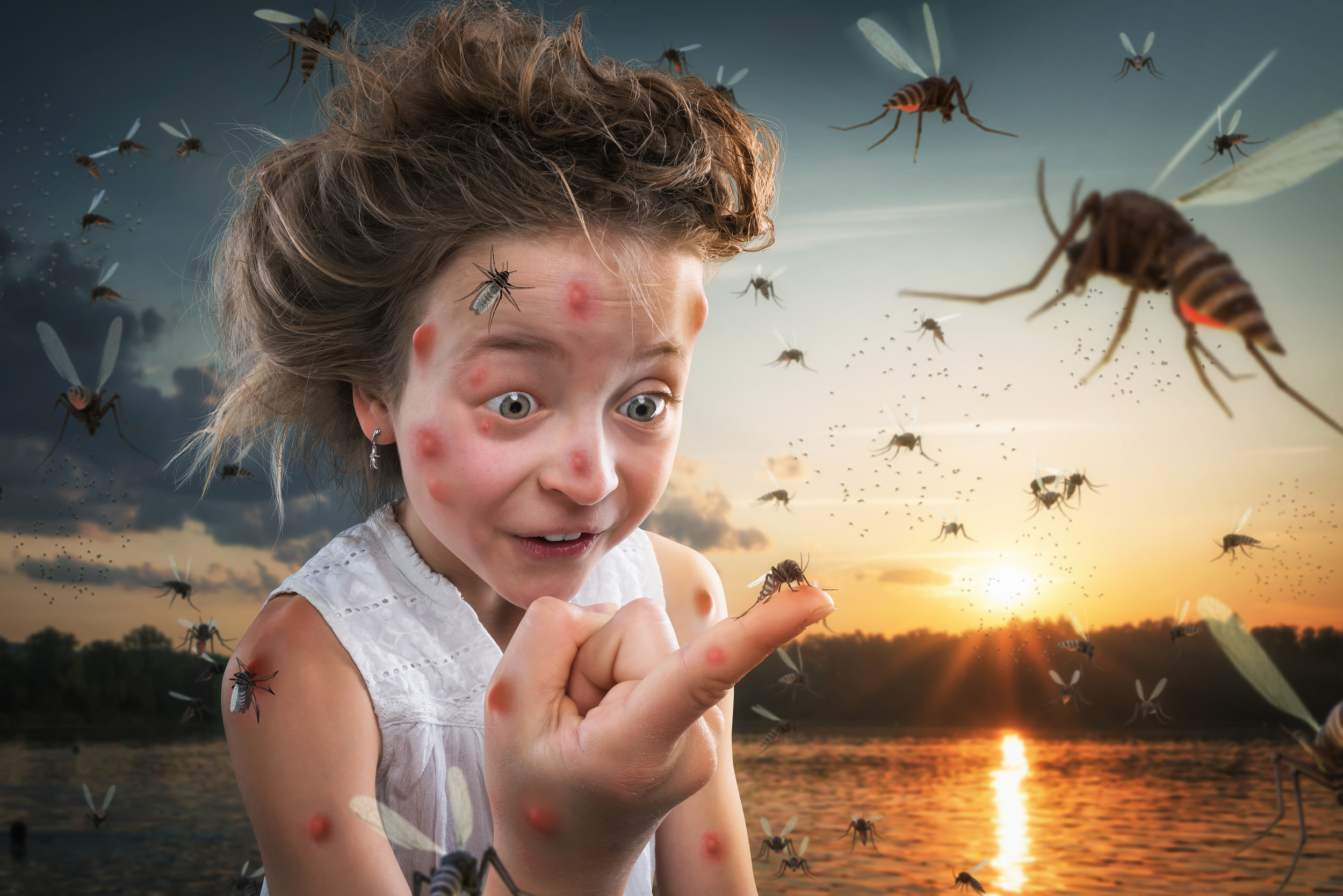 johnwilhelm 23