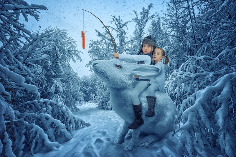 johnwilhelm 26