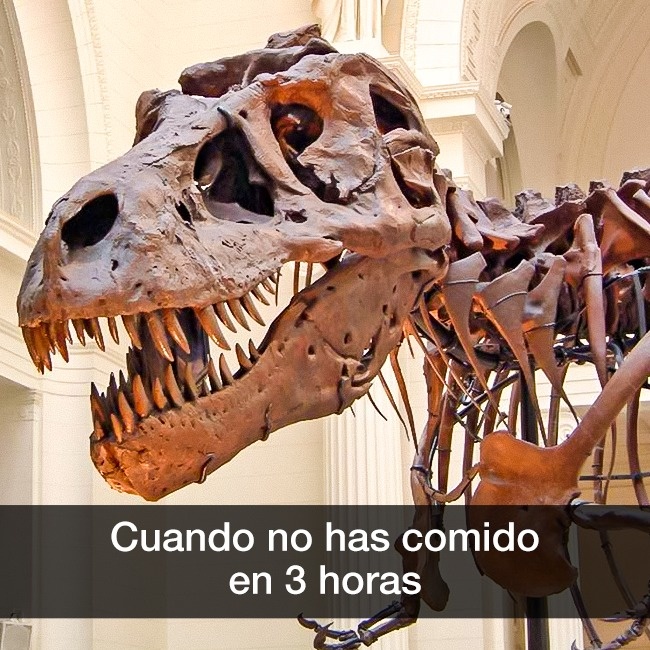 snapchats museo arte humor 2