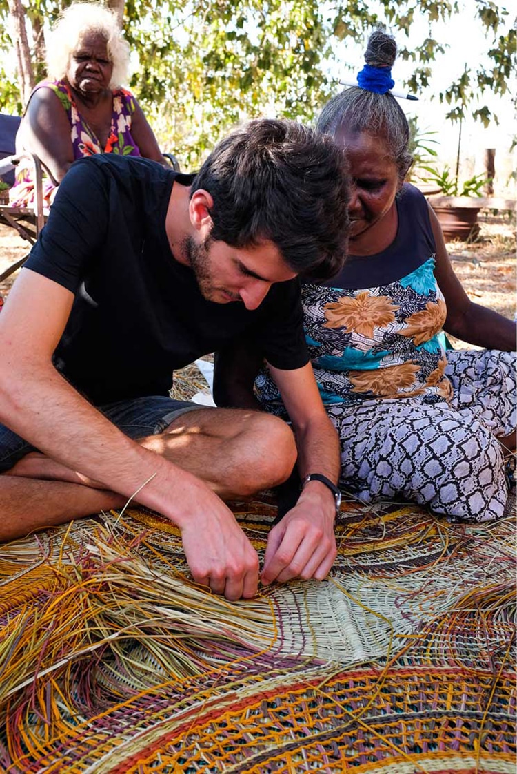 Alvaro Catalan pantallas ecologicas 2