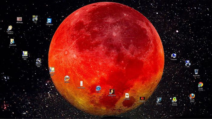 Fondos de pantalla Bored Panda