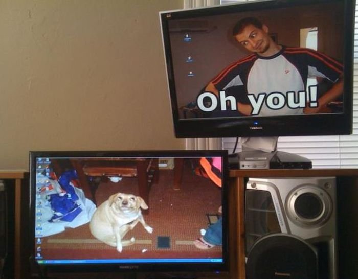 Fondos de pantalla Bored Panda 12