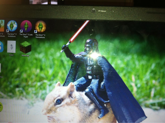 Fondos pantalla bored panda 32