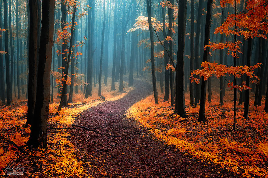 Janek Sedlar culturainquieta