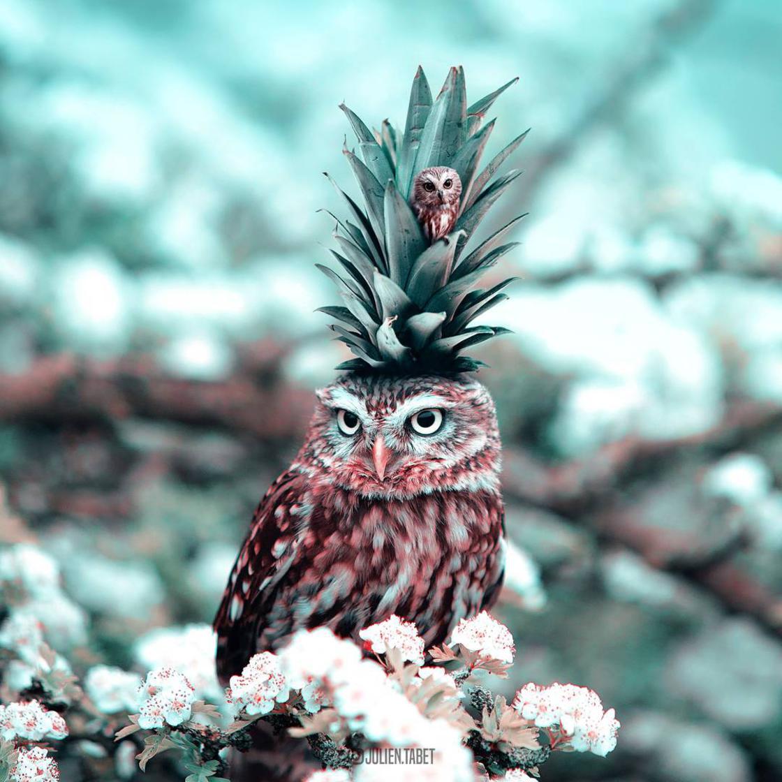 Julian Tabet surrealismo 12