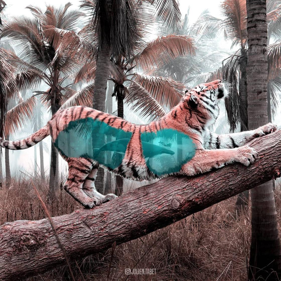 Julian Tabet surrealismo 15