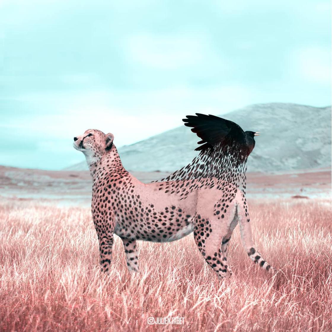 Julian Tabet surrealismo 16