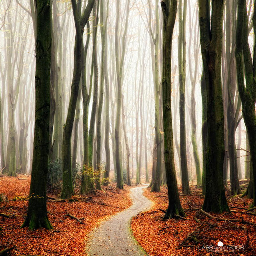 Lars Van De Goor2 culturainquieta