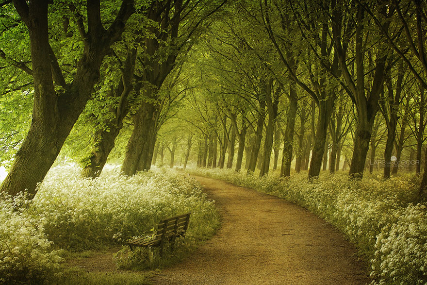 Lars Van De Goor culturainquieta