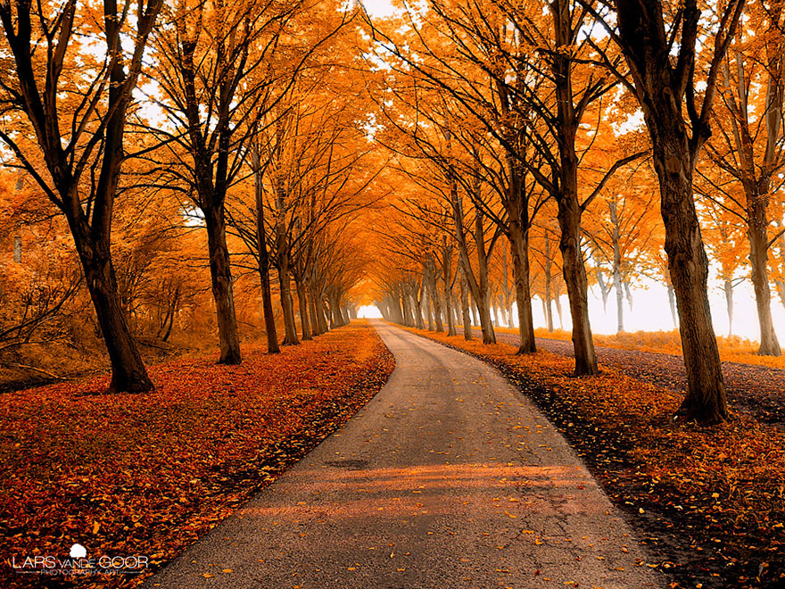 Lars Van Der Goor culturainquieta