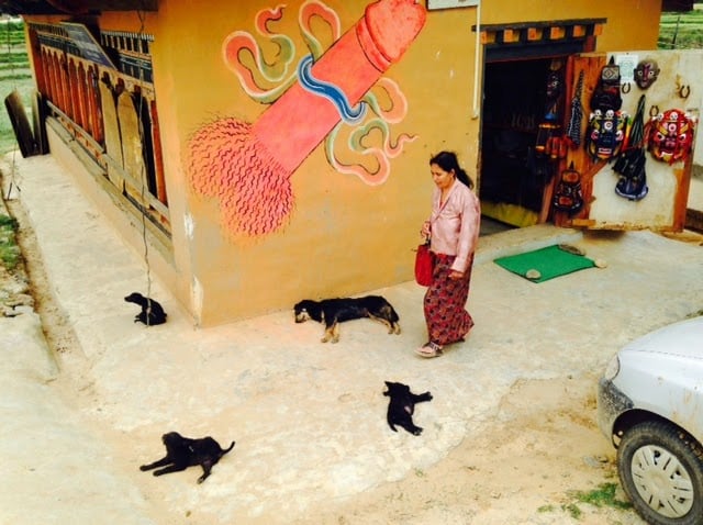 Monasterio Bhutan pene 12