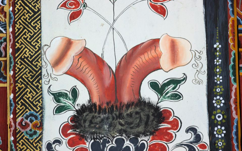 Monasterio Bhutan pene 9