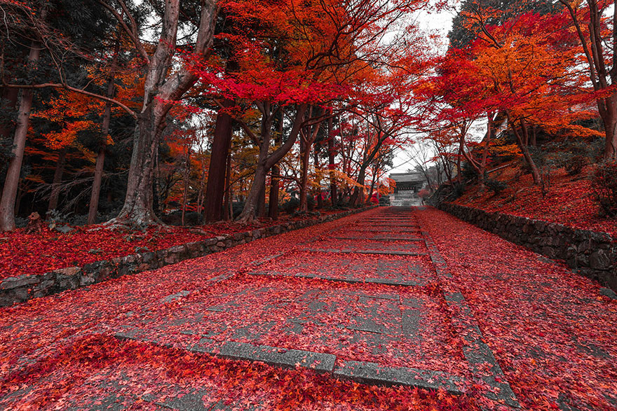 Takahiro Bessho culturainquieta