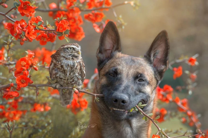 Tanja Brandt