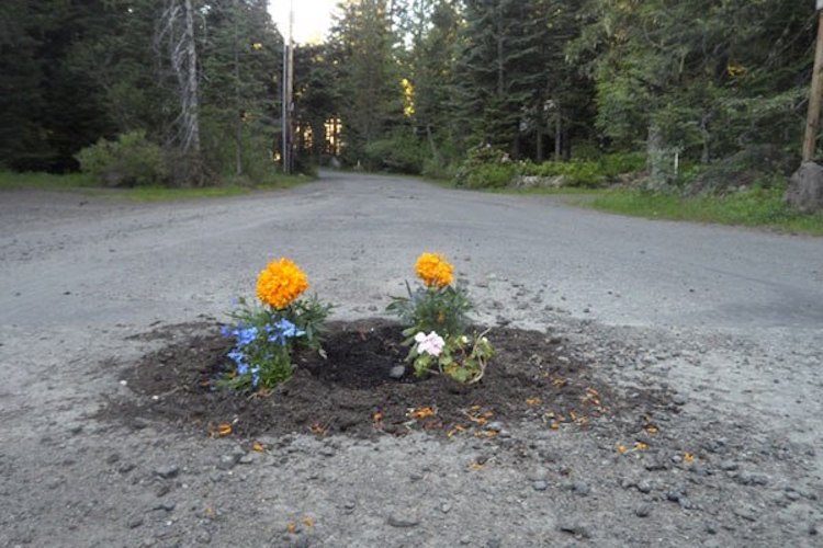 flores agujeros carretera 7