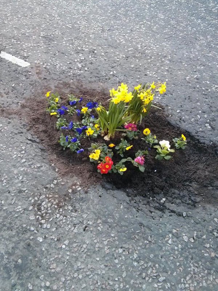 flores agujeros carretera 9