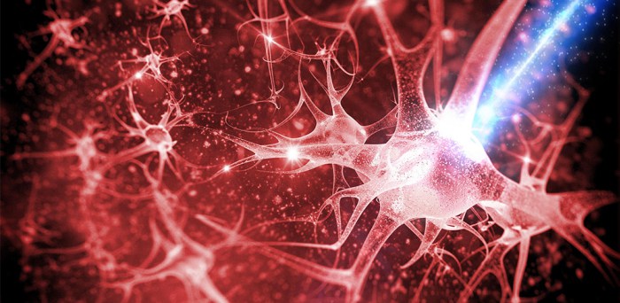 neurona luz